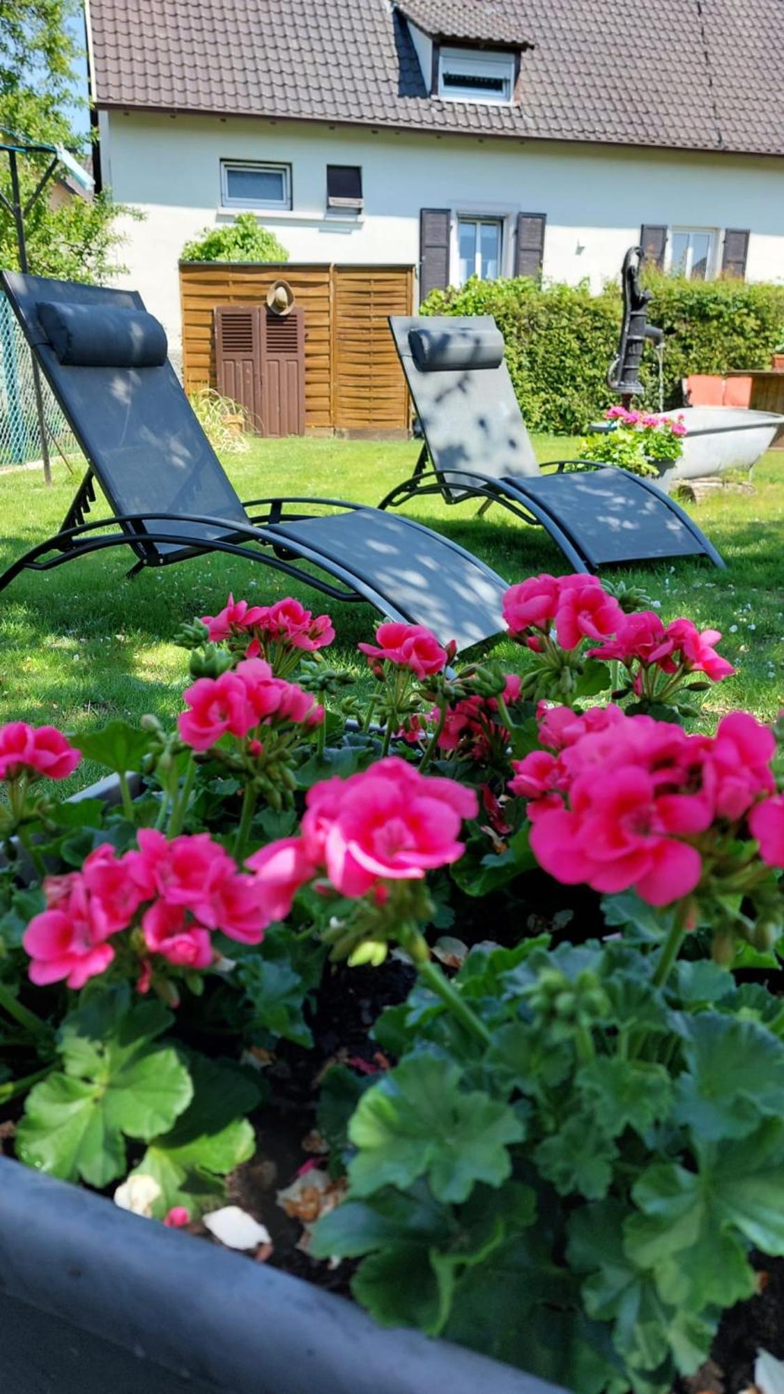 Gite Au Pommier Fleuri Et Son "Appart" Independant Drusenheim Εξωτερικό φωτογραφία